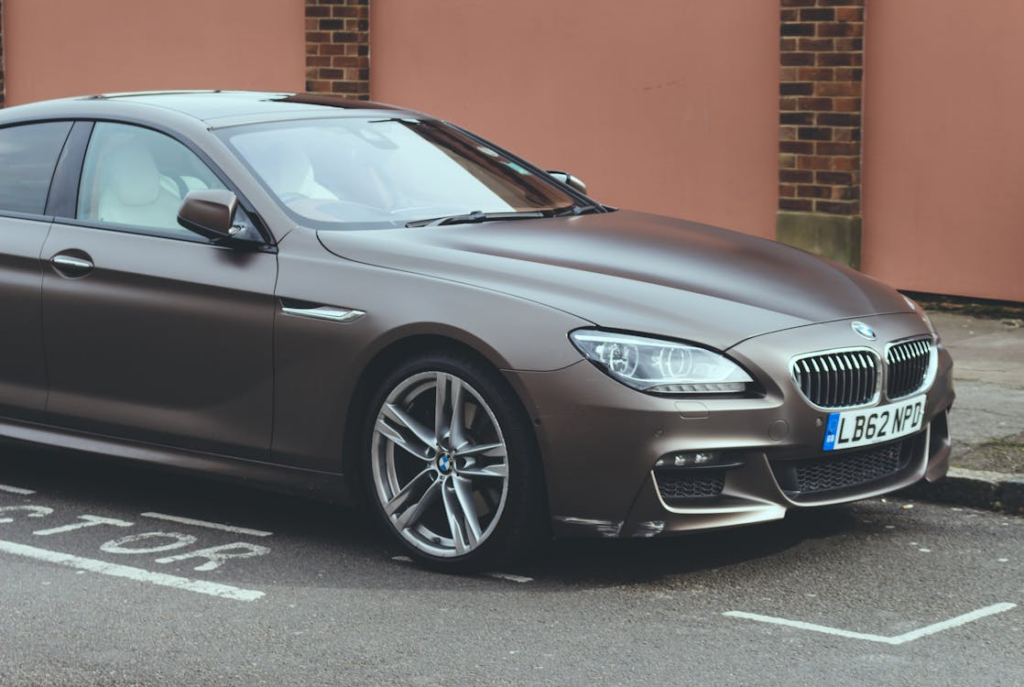 BMW ili Fasada?